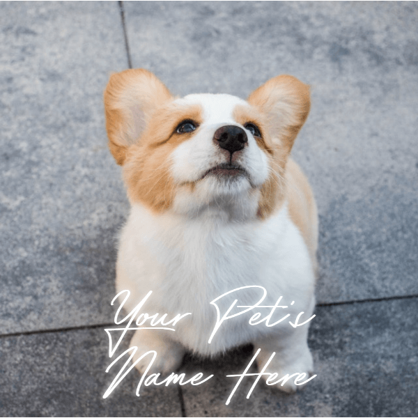 Custom Pet Portrait Neon Sign | 50cm*50cm LED Custom Neon