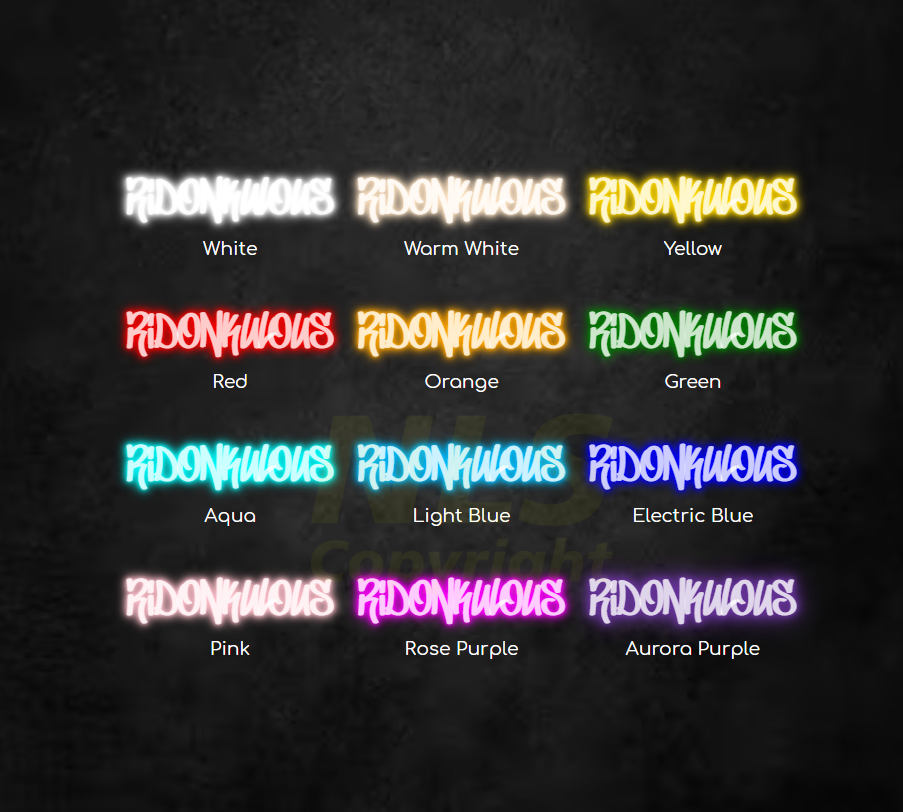 Ridonkulous - Custom LED Neon Sign Australia | NEONLIGHTSIGNS